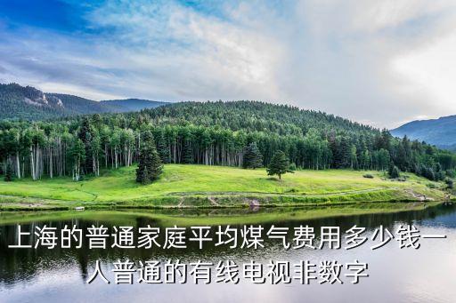 上海的普通家庭平均煤氣費用多少錢一人普通的有線電視非數(shù)字