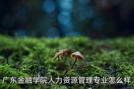 廣東金融學院人力資源管理專業(yè)怎么樣