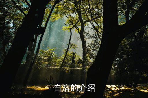 自溶的介紹