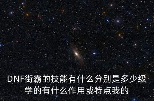 DNF街霸的技能有什么分別是多少級(jí)學(xué)的有什么作用或特點(diǎn)我的