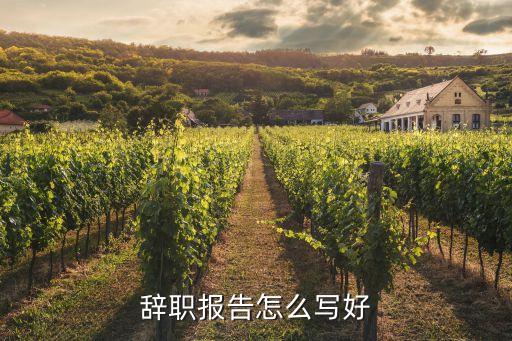 辭職報告怎么寫好