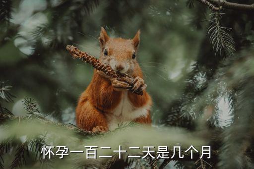173天是幾個(gè)月，懷孕一百二十二天是幾個(gè)月