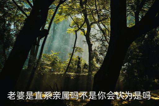 老婆是直系親屬嗎，老婆是直系親屬嗎不是你會(huì)認(rèn)為是嗎