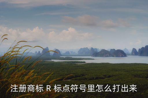 注冊(cè)商標(biāo) R 標(biāo)點(diǎn)符號(hào)里怎么打出來(lái)