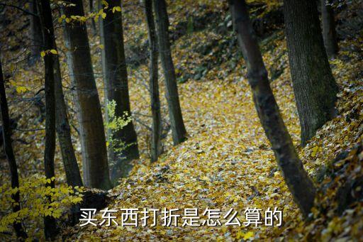 價(jià)格折扣，分析目前市場上的價(jià)格折扣