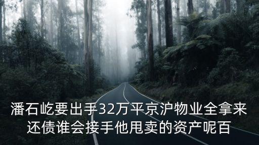 潘石屹要出手32萬平京滬物業(yè)全拿來還債誰會(huì)接手他甩賣的資產(chǎn)呢百