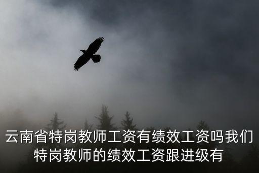 云南省特崗教師工資有績(jī)效工資嗎我們特崗教師的績(jī)效工資跟進(jìn)級(jí)有