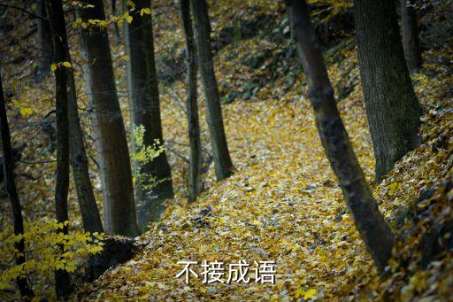 不接成語