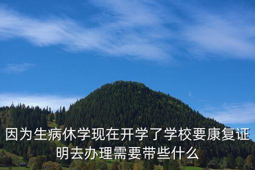 因為生病休學現在開學了學校要康復證明去辦理需要帶些什么