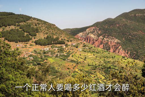 一個(gè)正常人要喝多少紅酒才會(huì)醉