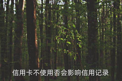 信用卡影響征信嗎，信用卡不使用否會影響信用記錄