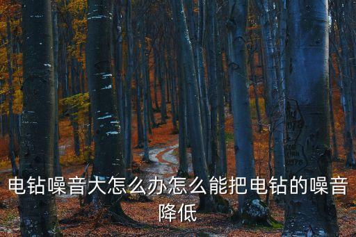 電鉆噪音大怎么辦怎么能把電鉆的噪音降低