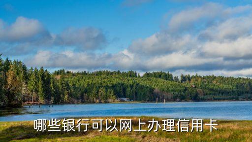哪些銀行可以網(wǎng)上辦理信用卡