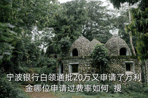 寧波銀行白領(lǐng)通批20萬(wàn)又申請(qǐng)了萬(wàn)利金哪位申請(qǐng)過(guò)費(fèi)率如何  搜