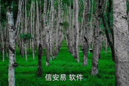 信安易，信安易 軟件