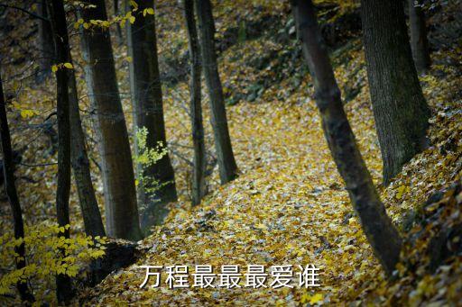 鄭慧芳，萬程最最最愛誰