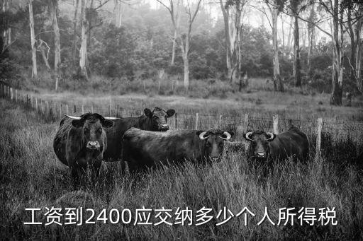 工資到2400應(yīng)交納多少個(gè)人所得稅