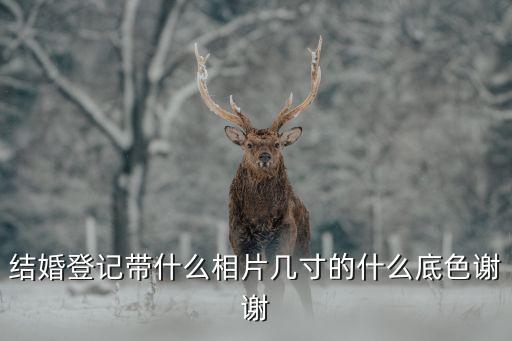 結(jié)婚登記照，結(jié)婚登記照有什么要求