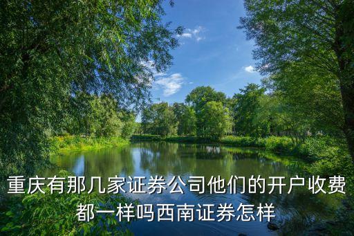 重慶有那幾家證券公司他們的開戶收費都一樣嗎西南證券怎樣