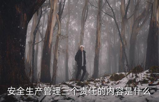 安全生產管理三個責任的內容是什么