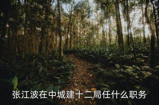 張江波在中城建十二局任什么職務(wù)