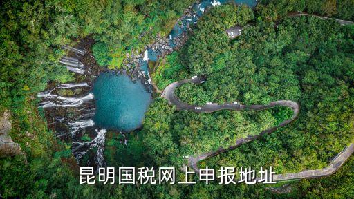 昆明國(guó)稅網(wǎng)上申報(bào)地址