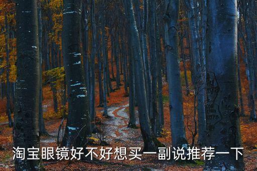 淘寶眼鏡好不好想買一副說推薦一下
