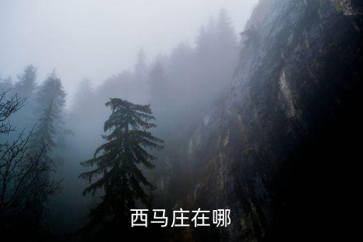 西馬莊，西馬莊在哪