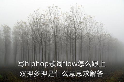 寫hiphop歌詞flow怎么跟上雙押多押是什么意思求解答
