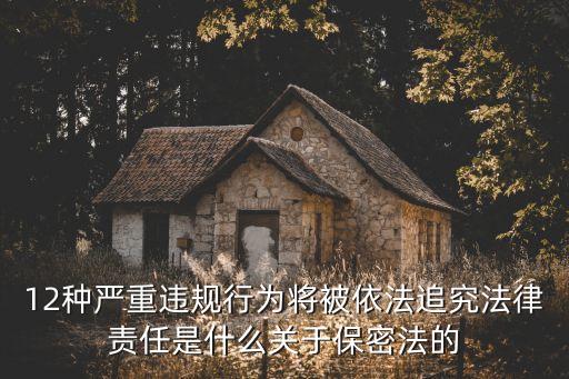 12種嚴(yán)重違規(guī)行為將被依法追究法律責(zé)任是什么關(guān)于保密法的