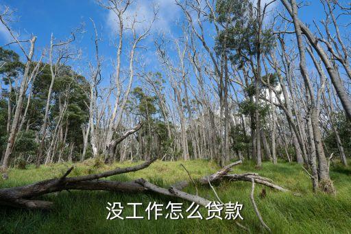 沒有工作怎么貸款，沒工作怎么貸款