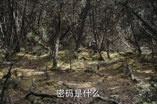 密碼是什么，密碼是什么