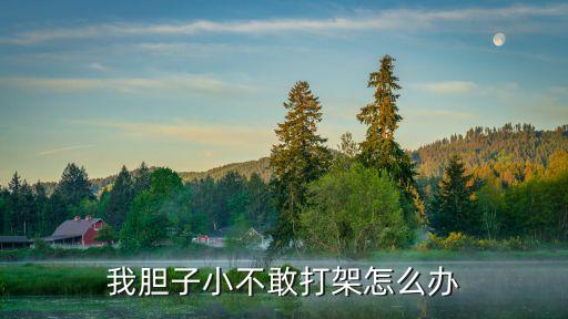 我膽子小不敢打架怎么辦