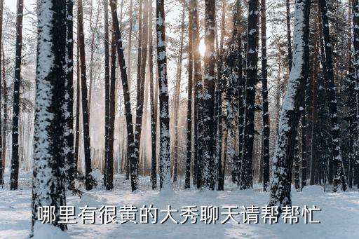 哪里有很黃的大秀聊天請(qǐng)幫幫忙