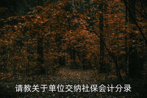請教關(guān)于單位交納社保會計分錄