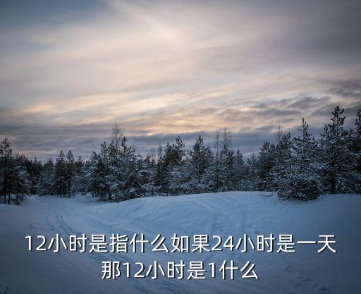 十二小時，十二小時叫什么