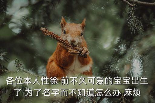 徐文成，幫我設(shè)計(jì)個(gè)名字 徐文成 或不帶徐 符號(hào)的說怎么打的