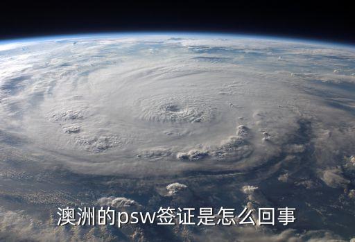 psw，匯編中的PSW是什么意思不有CY