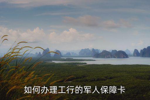 軍人優(yōu)待卡，優(yōu)待安置卡是什么