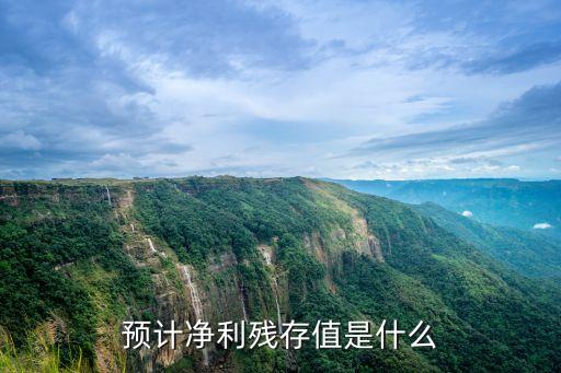 預(yù)計凈利殘存值是什么