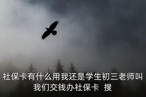 社?？ㄗ饔?，社?？ㄓ惺裁从梦疫€是學(xué)生初三老師叫我們交錢辦社保卡  搜