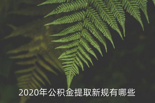 公積金新政策，關(guān)于住房買房公積金的優(yōu)惠政策都有哪些啊