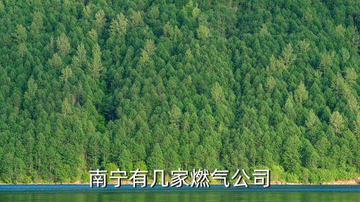 南寧中燃，南寧有幾家燃氣公司