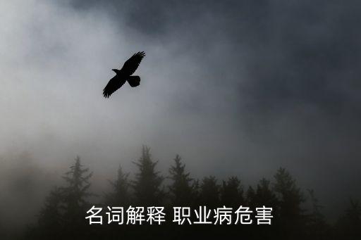 名詞解釋 職業(yè)病危害