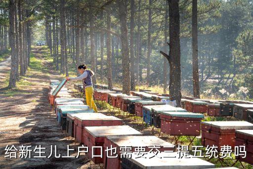 給新生兒上戶口也需要交三提五統(tǒng)費嗎