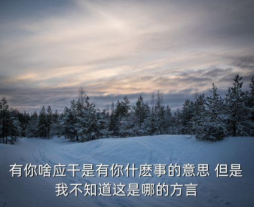 干你什么事，有你啥應(yīng)干是有你什麼事的意思 但是我不知道這是哪的方言