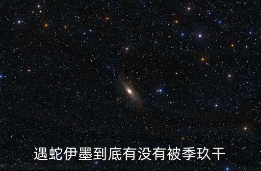 遇蛇伊墨到底有沒有被季玖干