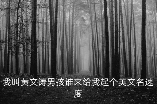 我叫黃文濤男孩誰來給我起個(gè)英文名速度