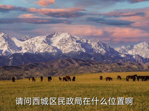 西城區(qū)民政局，請(qǐng)問西城區(qū)民政局在什么位置啊