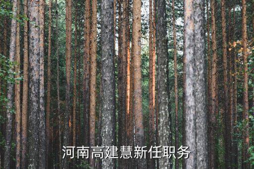 范曉偉，誰能幫我用范曉偉我愛你做首詩
